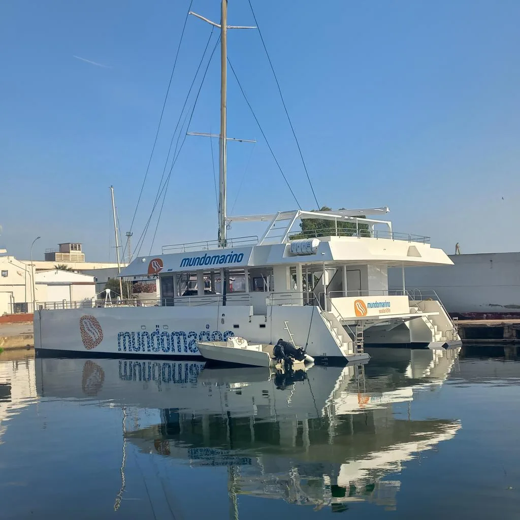 SQUALT MARINE CK 80 - Image 1