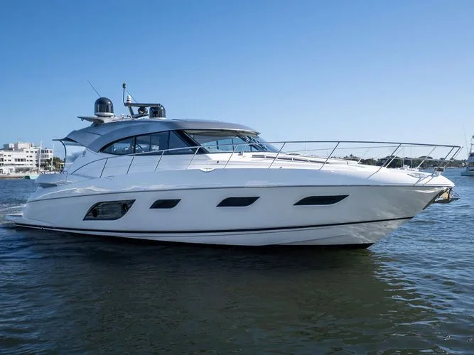 TREE-O - Image 1