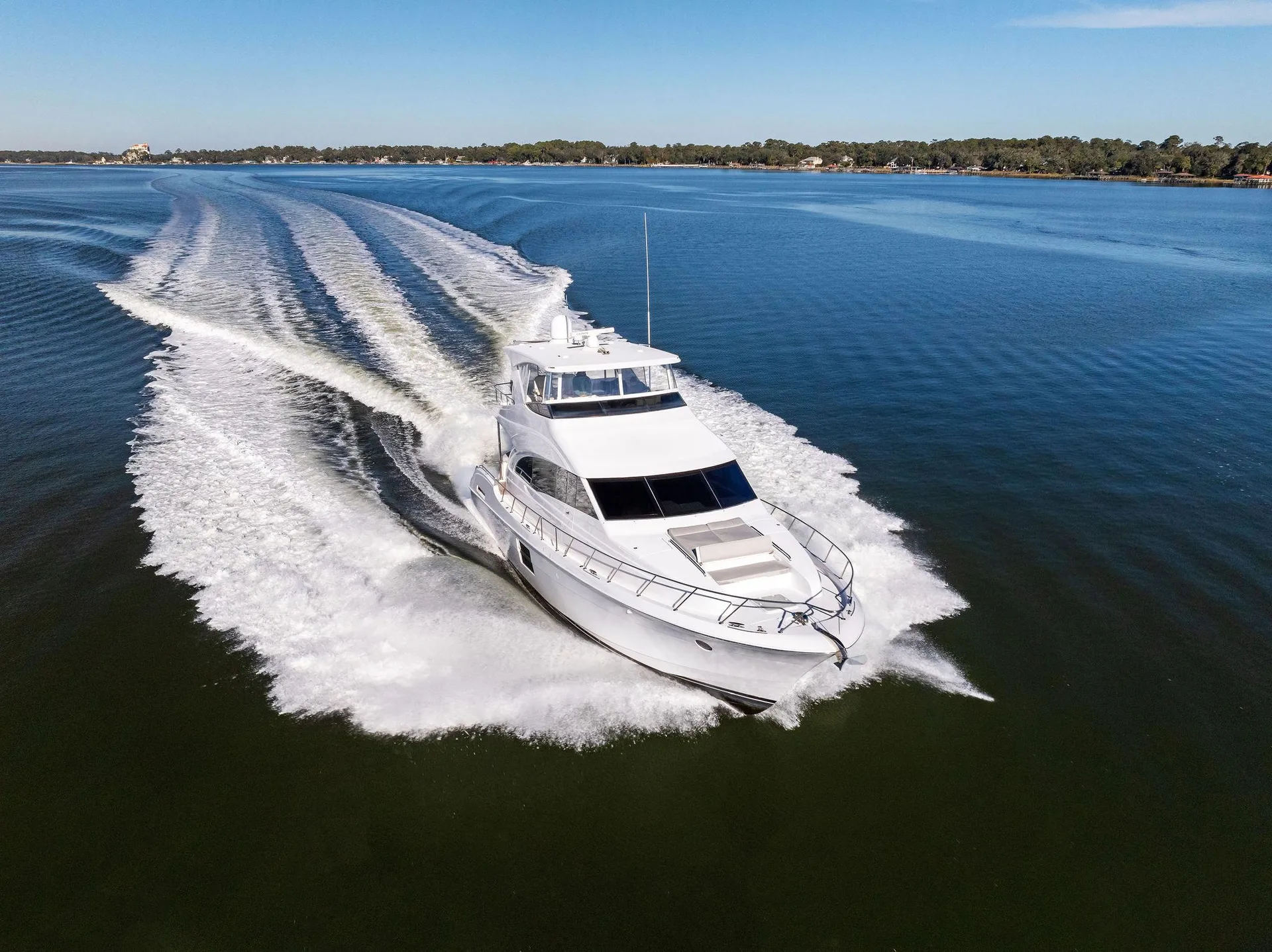 BONEFISH - Image 3