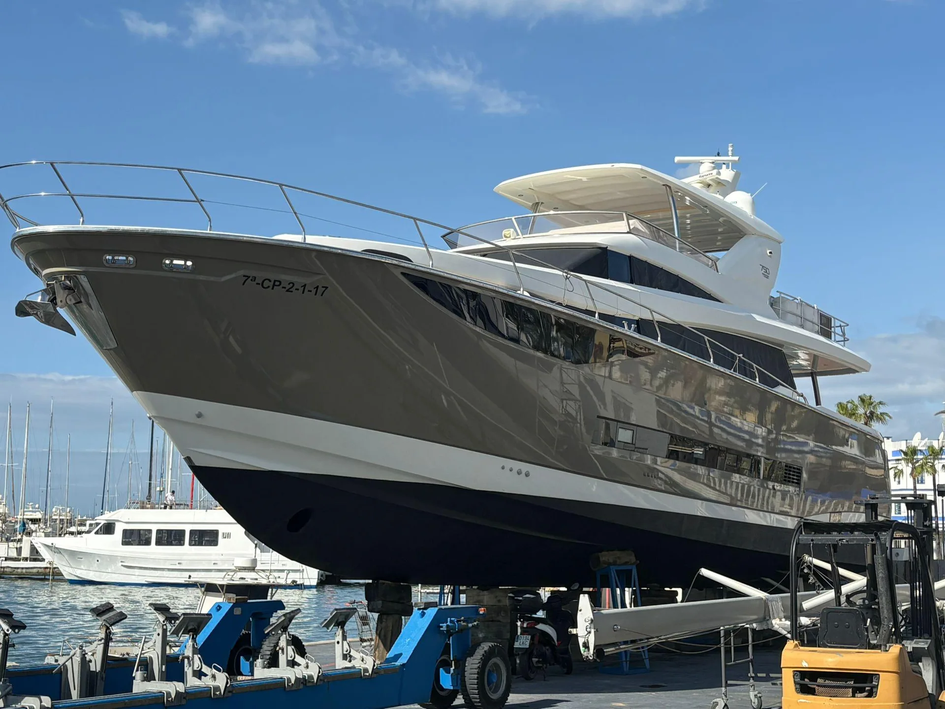 PRINCESS OF THE SEAS - Image 1