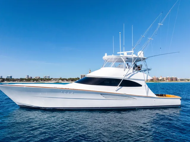 'SJYS Demo Polarizer' — Viking