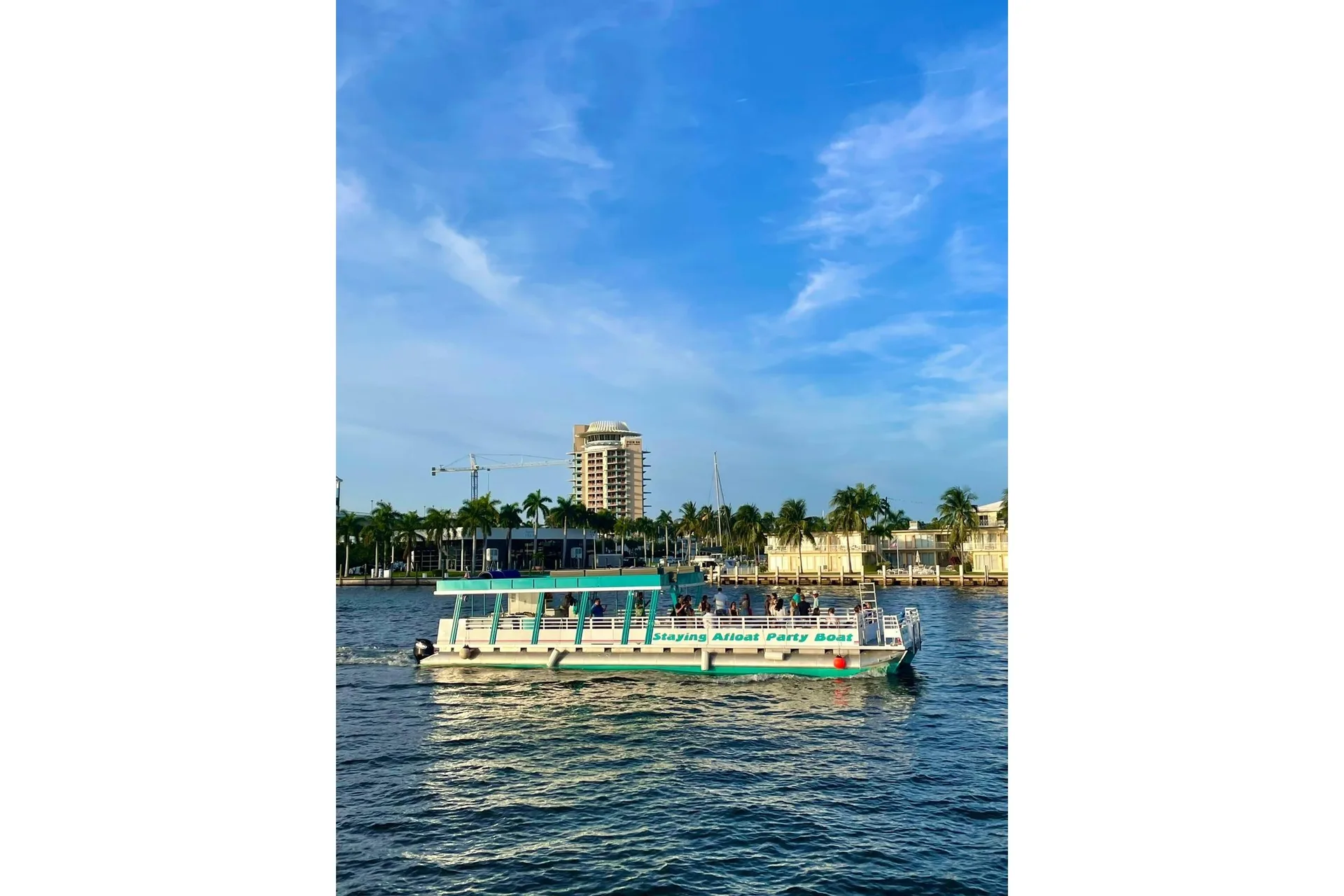 TEAL TITON - Image 1