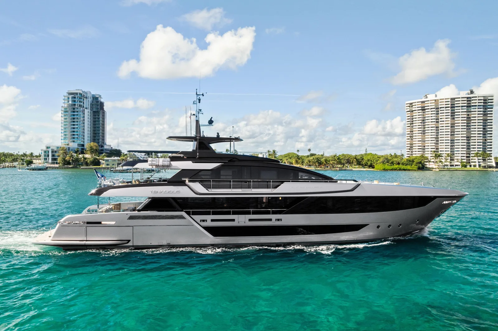 TENACIOUS - Image 1