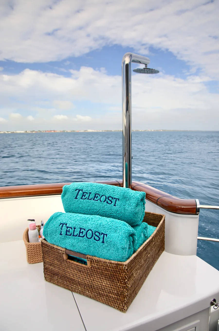 TELEOST, photos 3