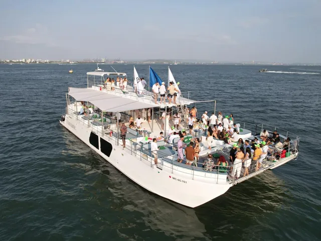 CUSTOM PAXCAT 80
