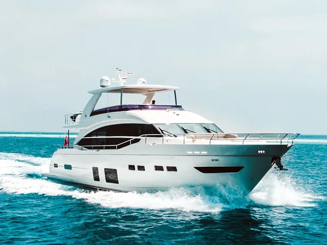 PRINCESS Y75