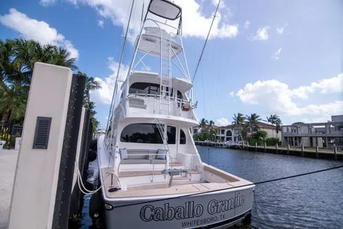 VIKING CONVERTIBLE EB - Image 3