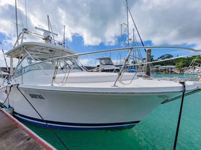 2008 LUHRS 31 OPEN