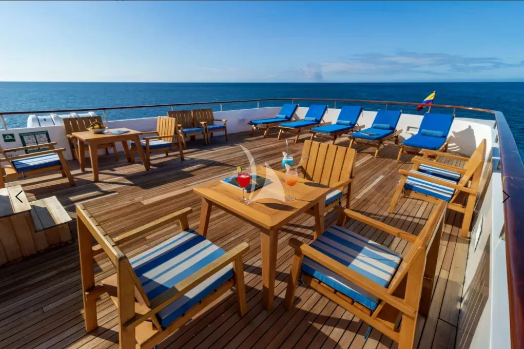 M/Y PASSION, inside 2
