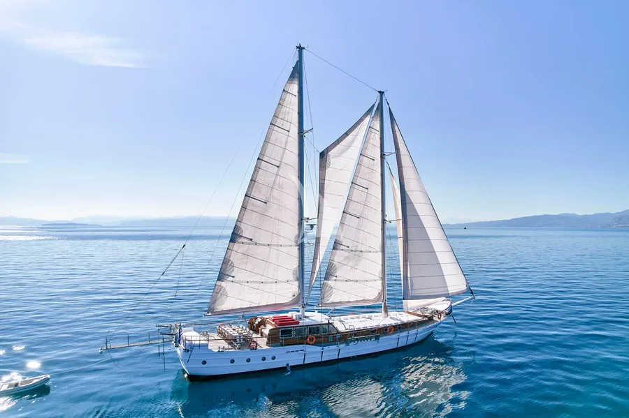 WHITE PEARL, photos 5