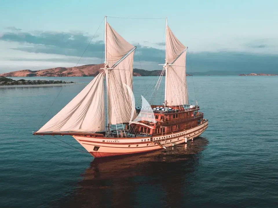 THE MAJ OCEANIC
