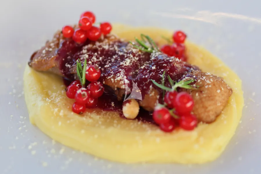 HONEYBIRD, photos 4