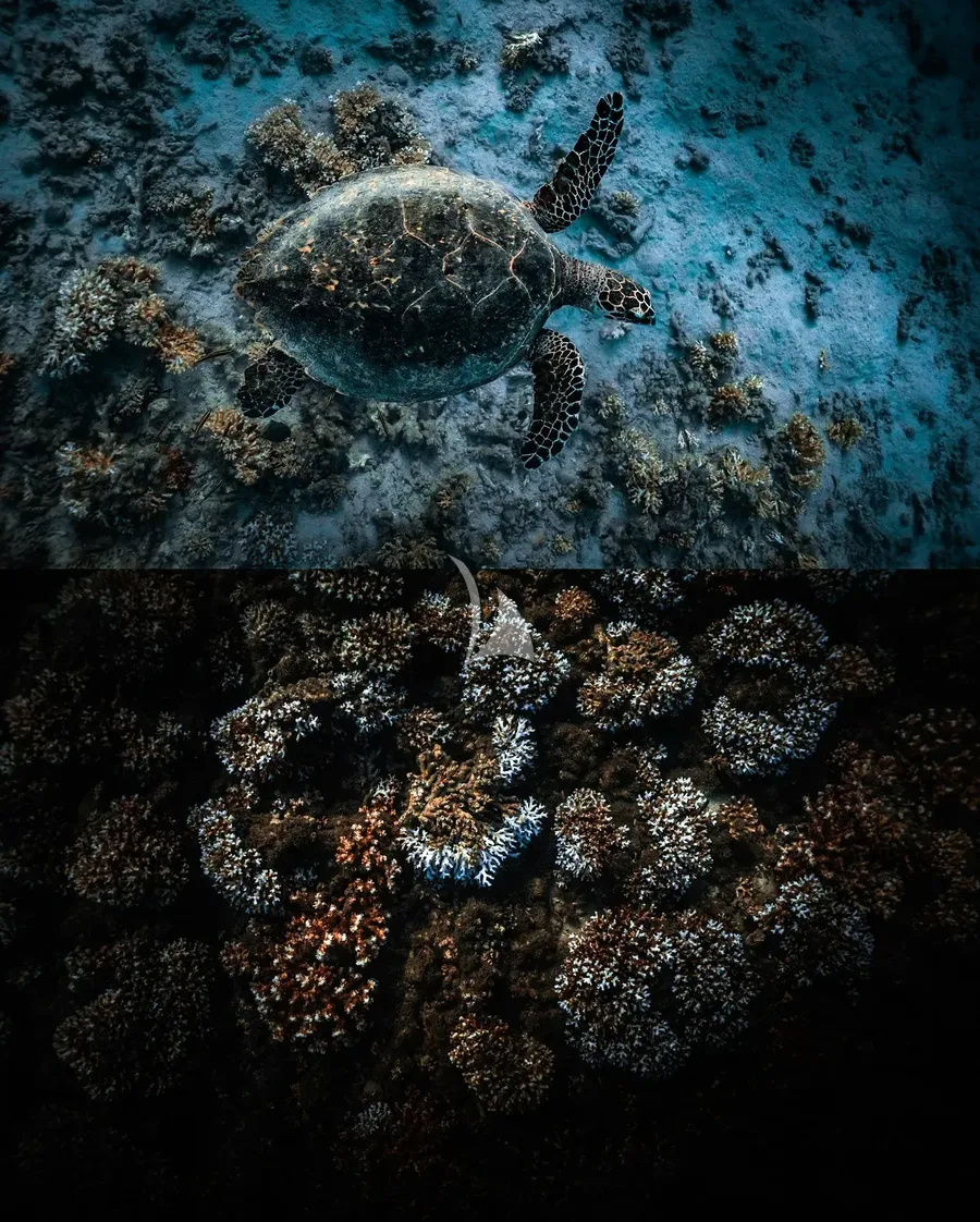 KONTIKI WAYRA, photos 4