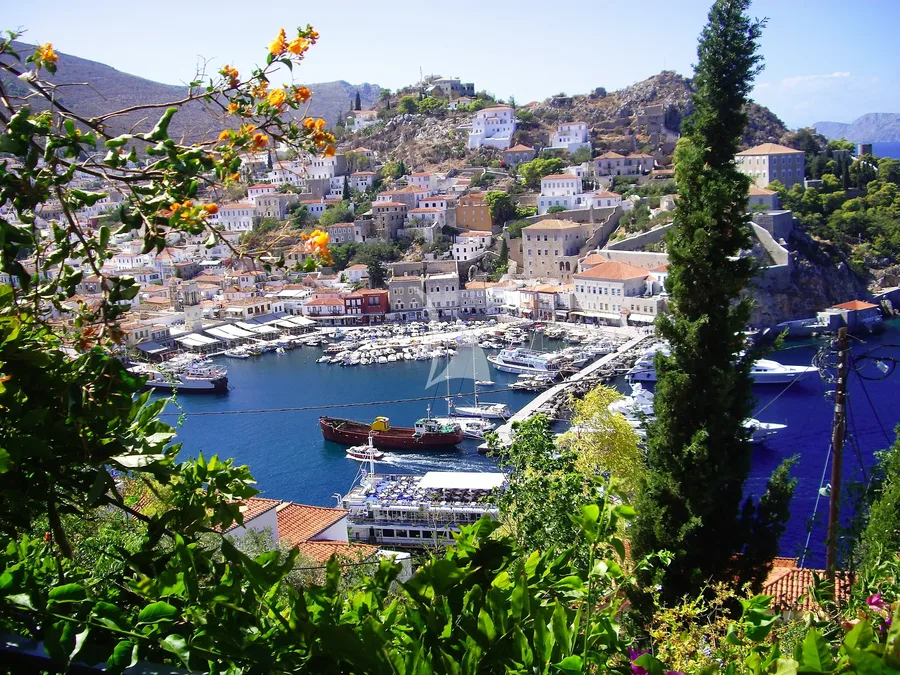 QUESTA E VITA, photos 1