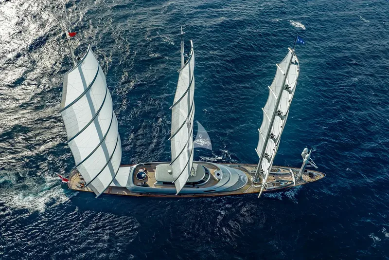 MALTESE FALCON, all photos 3