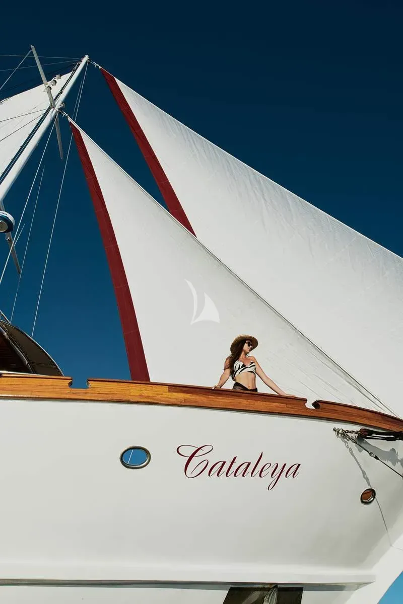 CATALEYA, photos 1