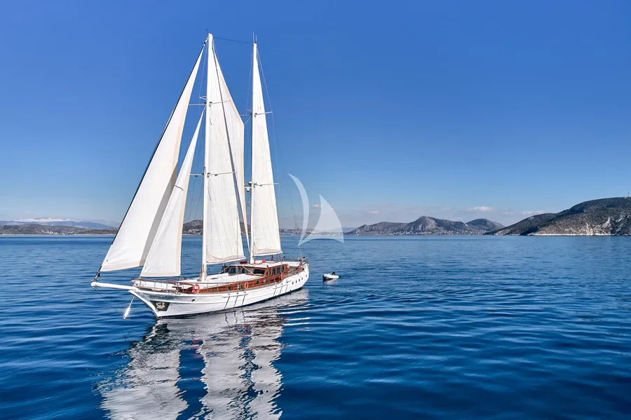 WHITE PEARL, photos 2