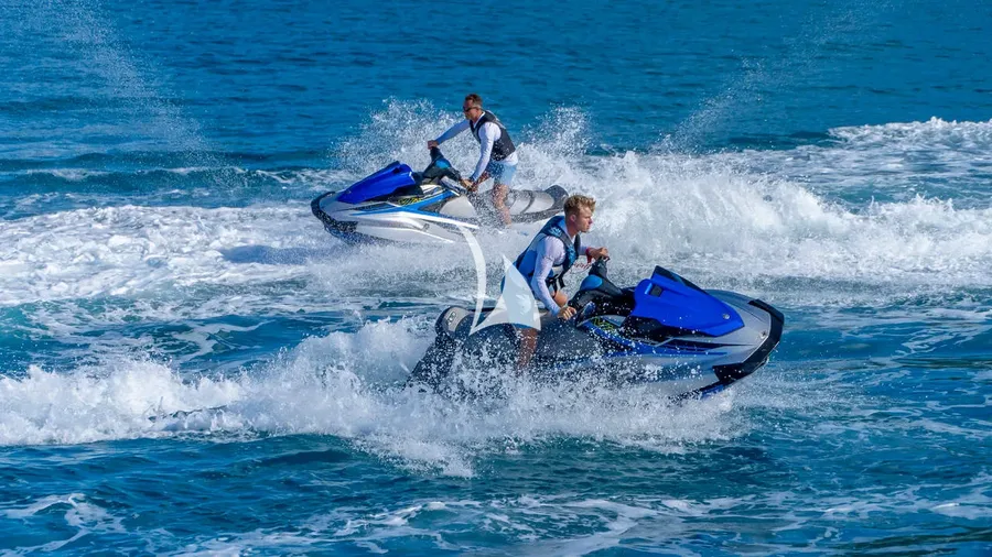 SCOTT FREE, photos 6