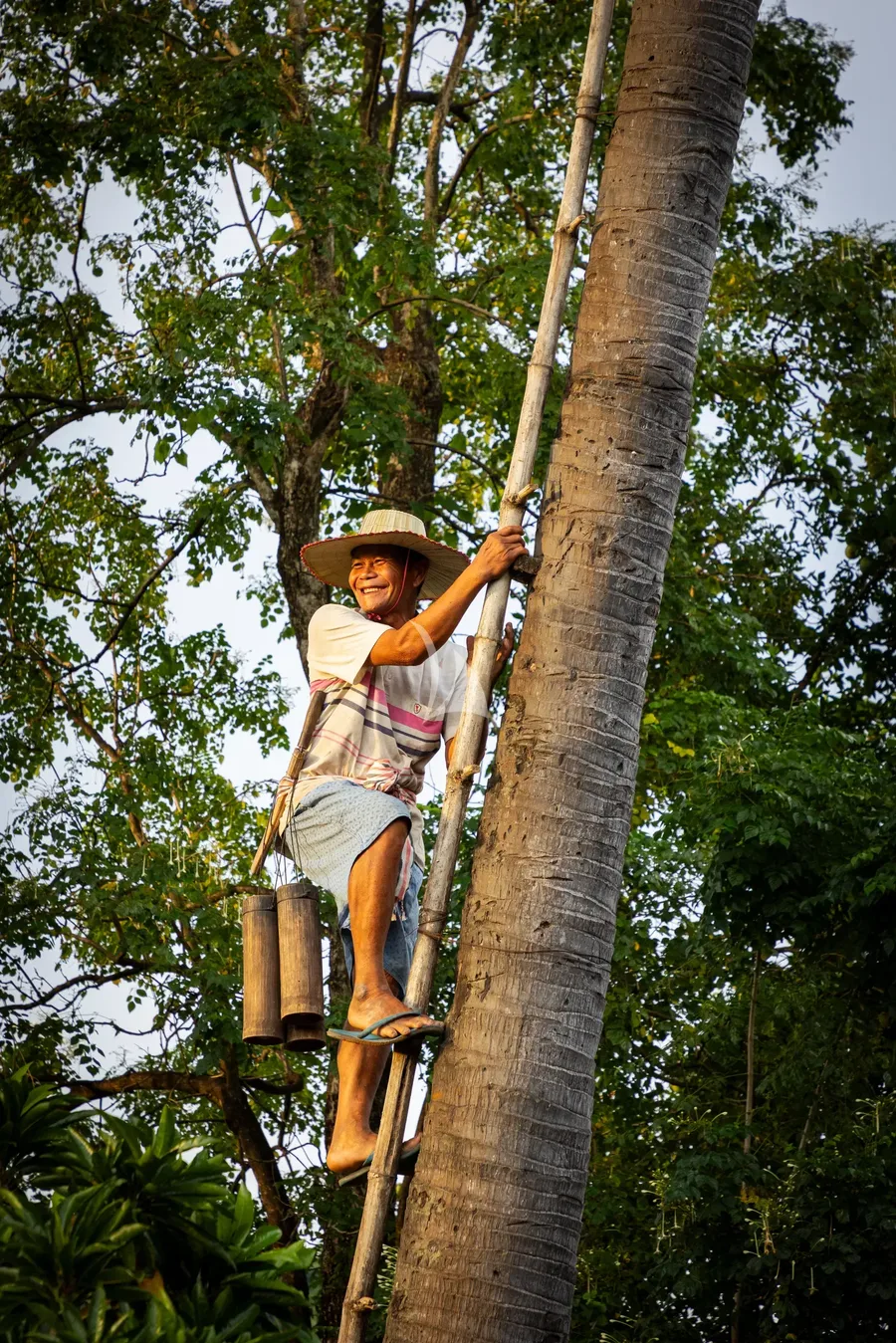 AQUA MEKONG, photos 4