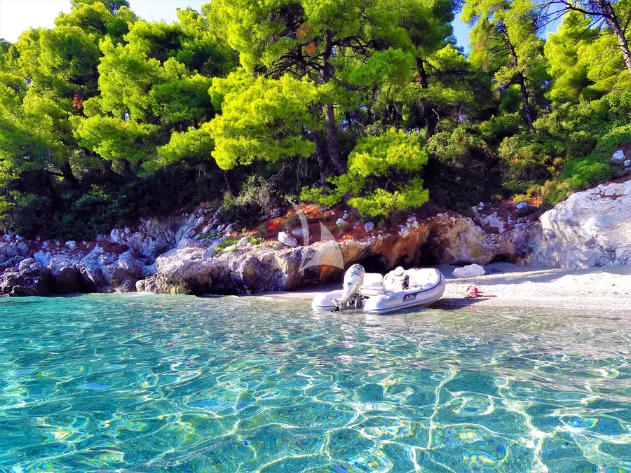 QUESTA E VITA, photos 5