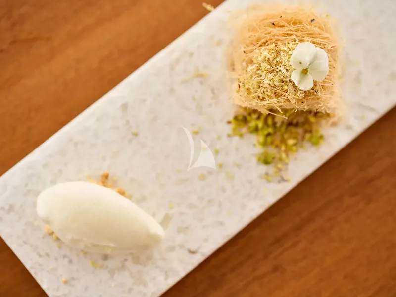 APHAEA, watertoys 5
