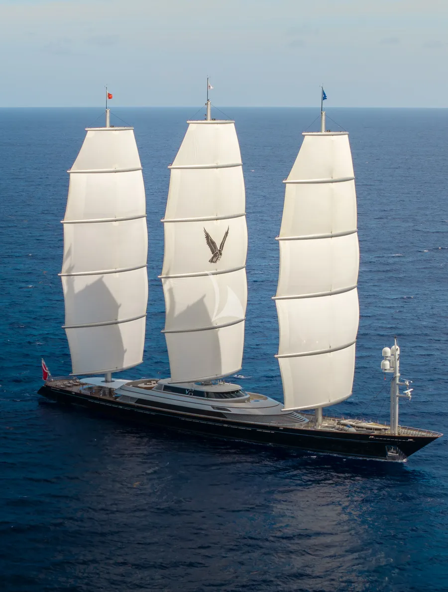 MALTESE FALCON, photos 2