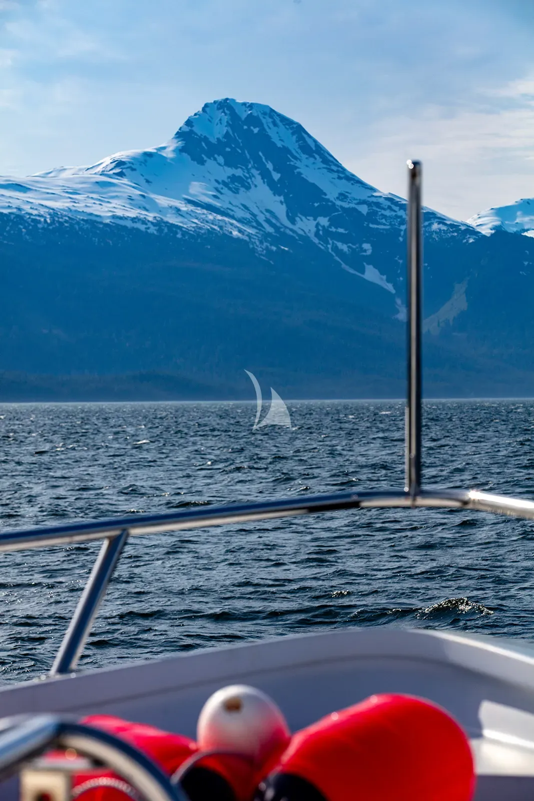 MY LADY ALASKA, more 1