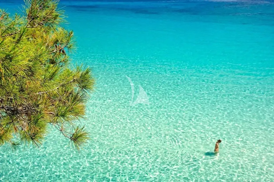 QUESTA E VITA, photos 2