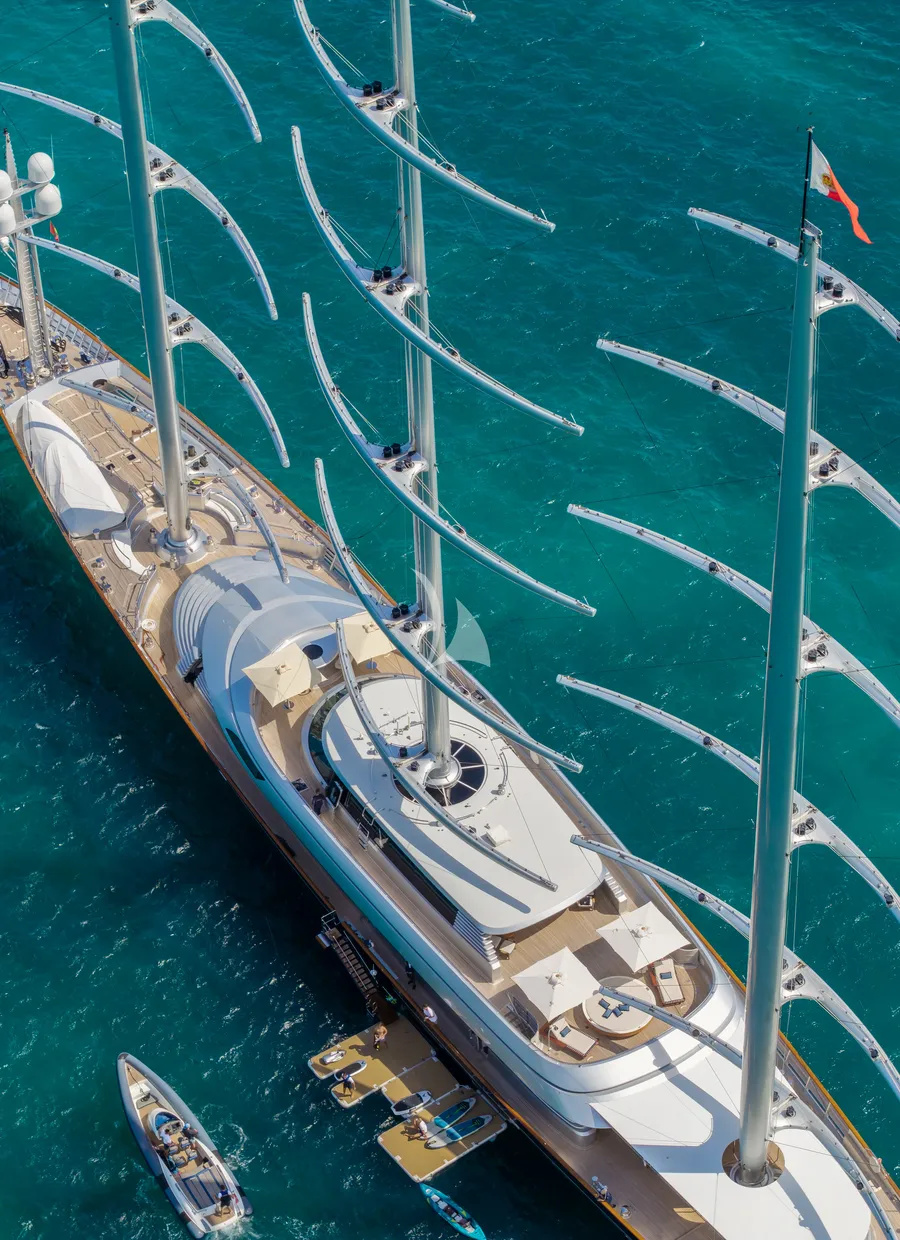 MALTESE FALCON, photos 2