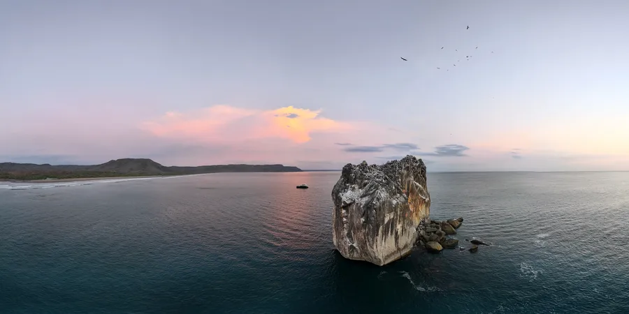COLIBRI, photos 4