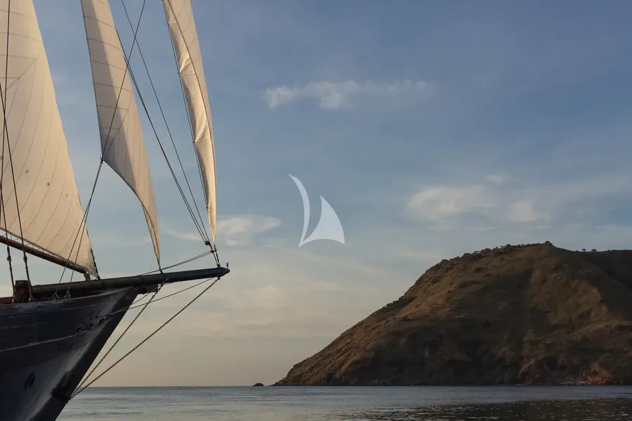 VELA, photos 4