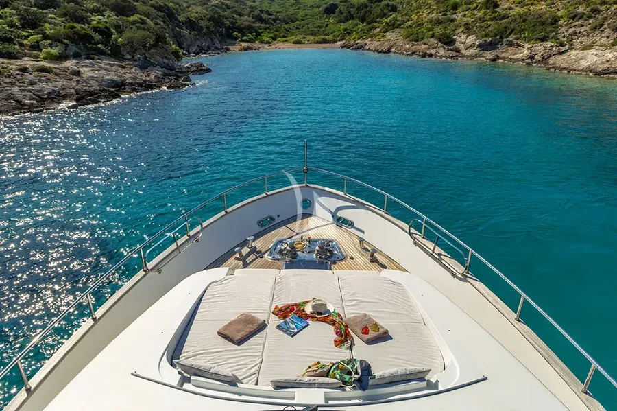 THE BIRD, photos 2