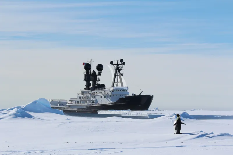 ARCTIC, all photos 2