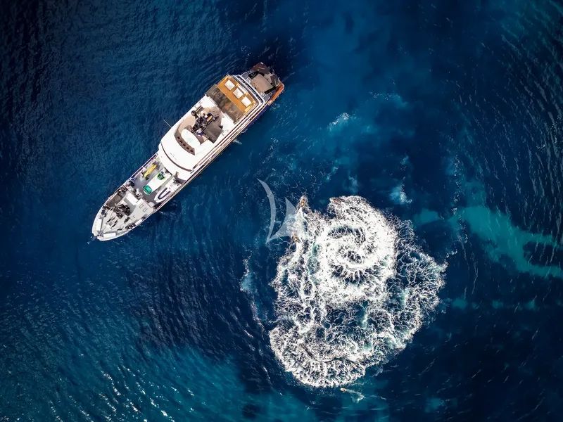 FORCE BLUE, on deck 6