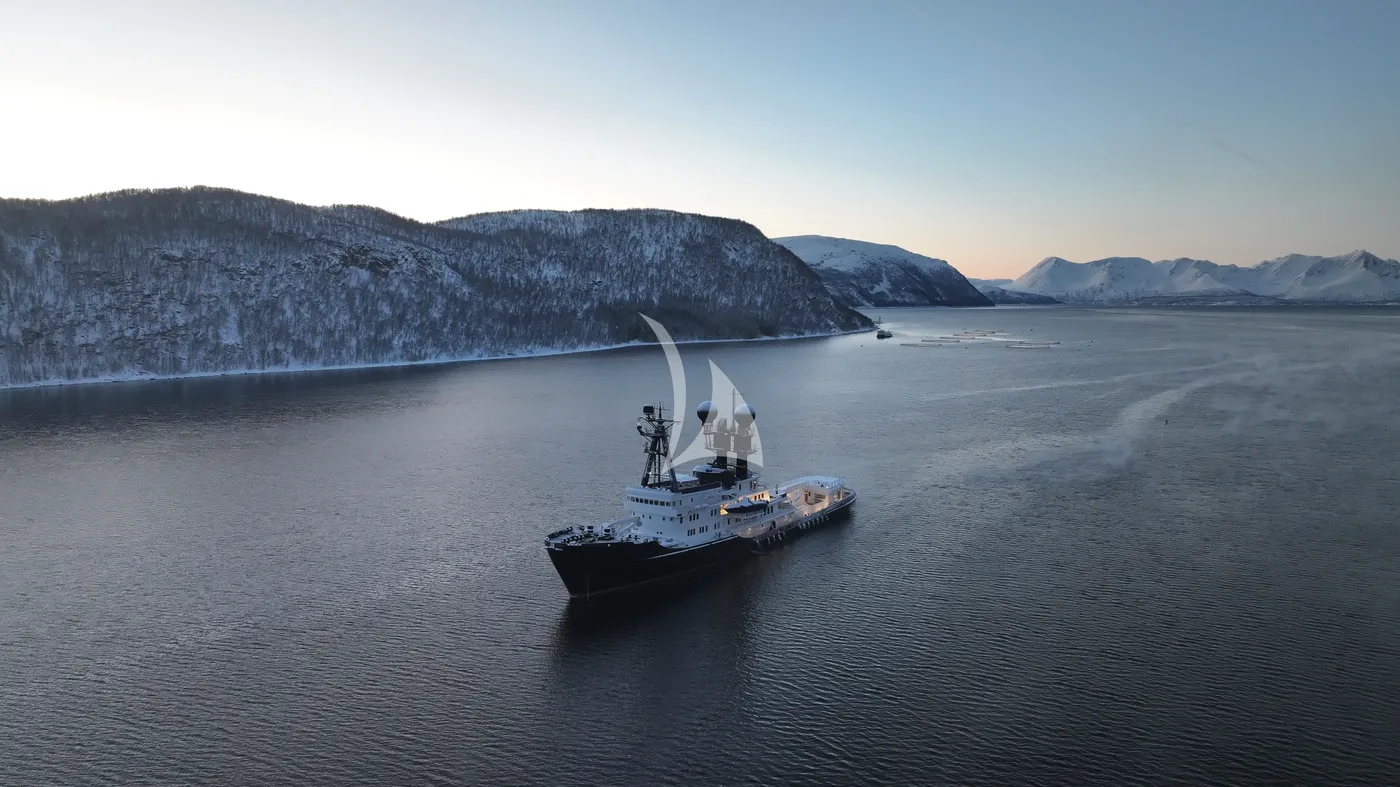 ARCTIC, more 1