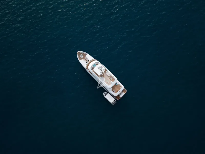 BELUGA, all photos 4