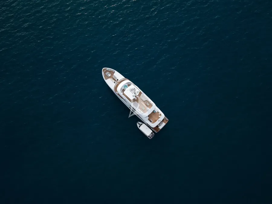 BELUGA, photos 1