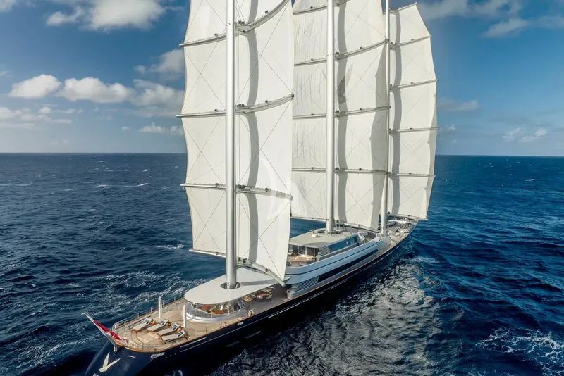 MALTESE FALCON, all photos 5