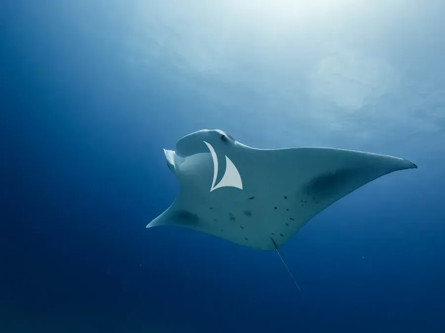 THE MAJ OCEANIC, photos 6