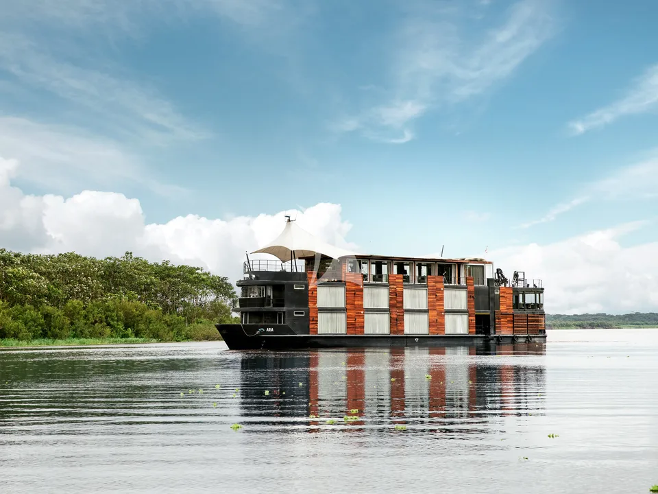 ARIA AMAZON