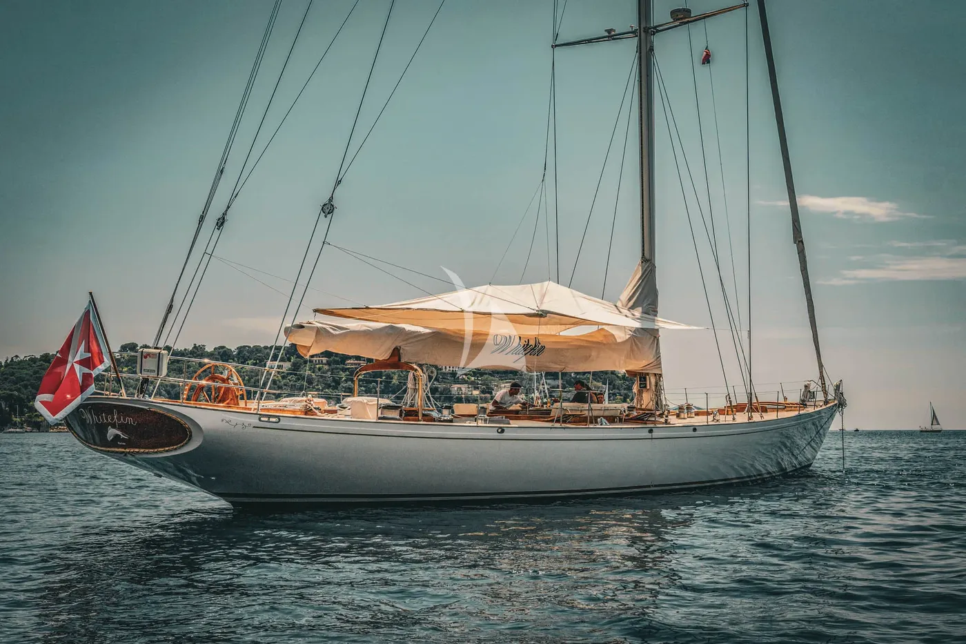 WHITEFIN, on deck 2