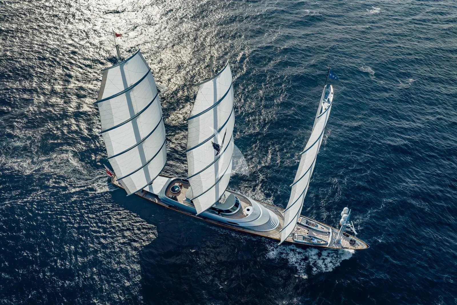 MALTESE FALCON