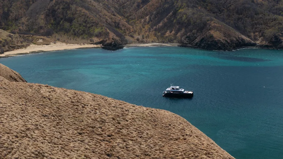 COLIBRI, photos 5